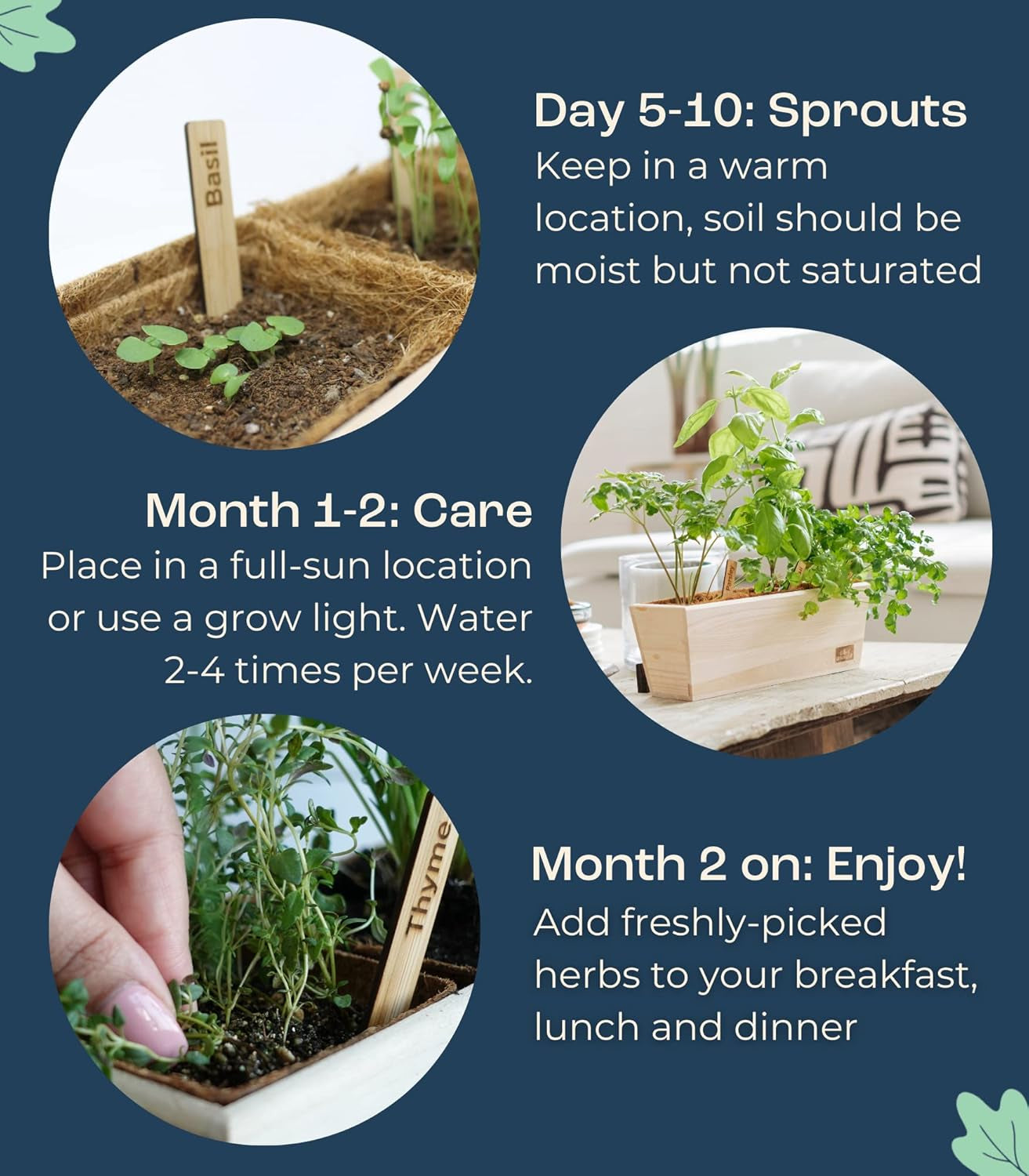 Herb Garden Kit Indoor – Indoor Herb Garden Starter Kit – Dwarf Tomato, Chili Pepper and Eggplant Seeds – Sturdy Reusable Planter, Enriched Soil & Bamboo Labels – Indoor Garden Kit