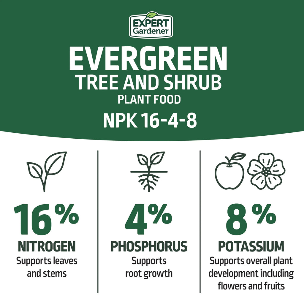 Evergreen Tree and Shrub Plant Food, 16-4-8 Fertilizer, 4 Lb.