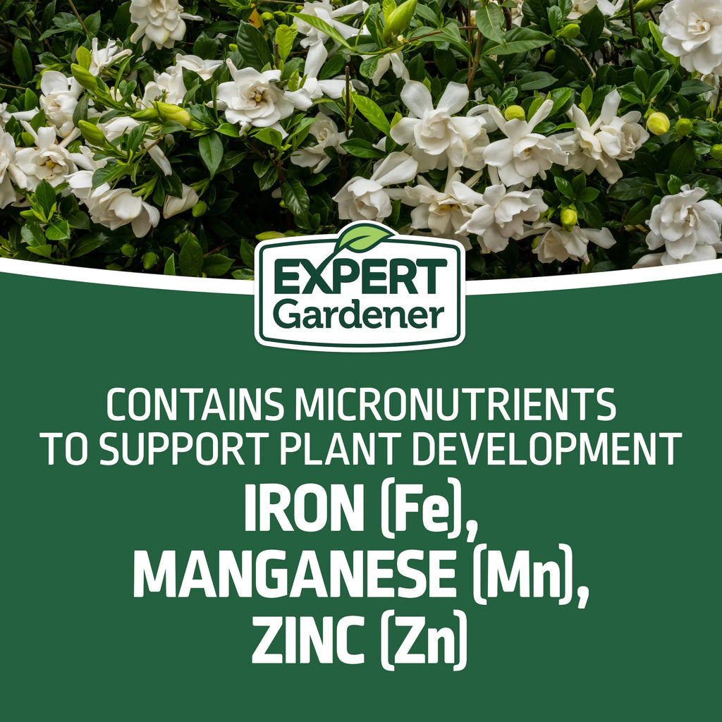 Evergreen Tree and Shrub Plant Food, 16-4-8 Fertilizer, 4 Lb.