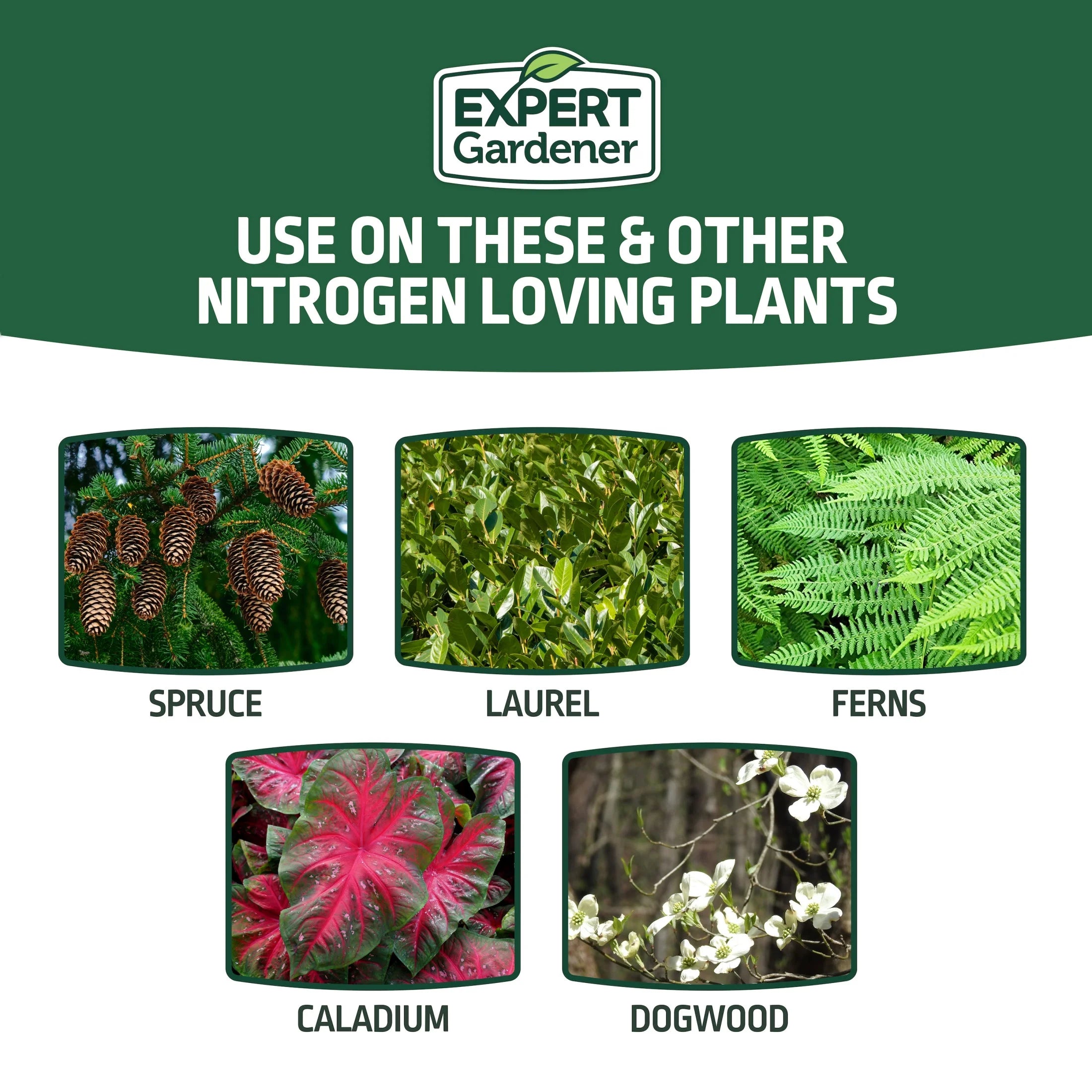 Evergreen Tree and Shrub Plant Food, 16-4-8 Fertilizer, 4 Lb.