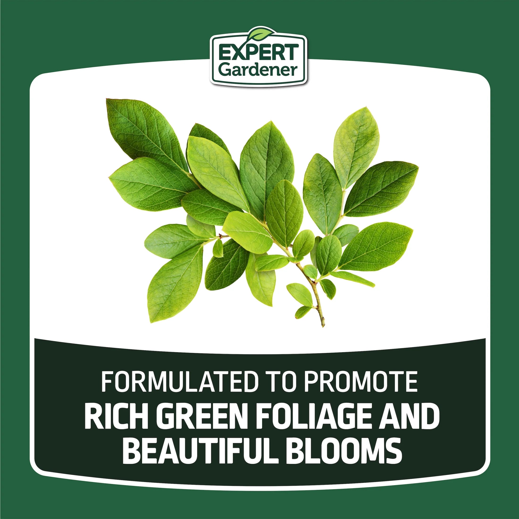 Evergreen Tree and Shrub Plant Food, 16-4-8 Fertilizer, 4 Lb.