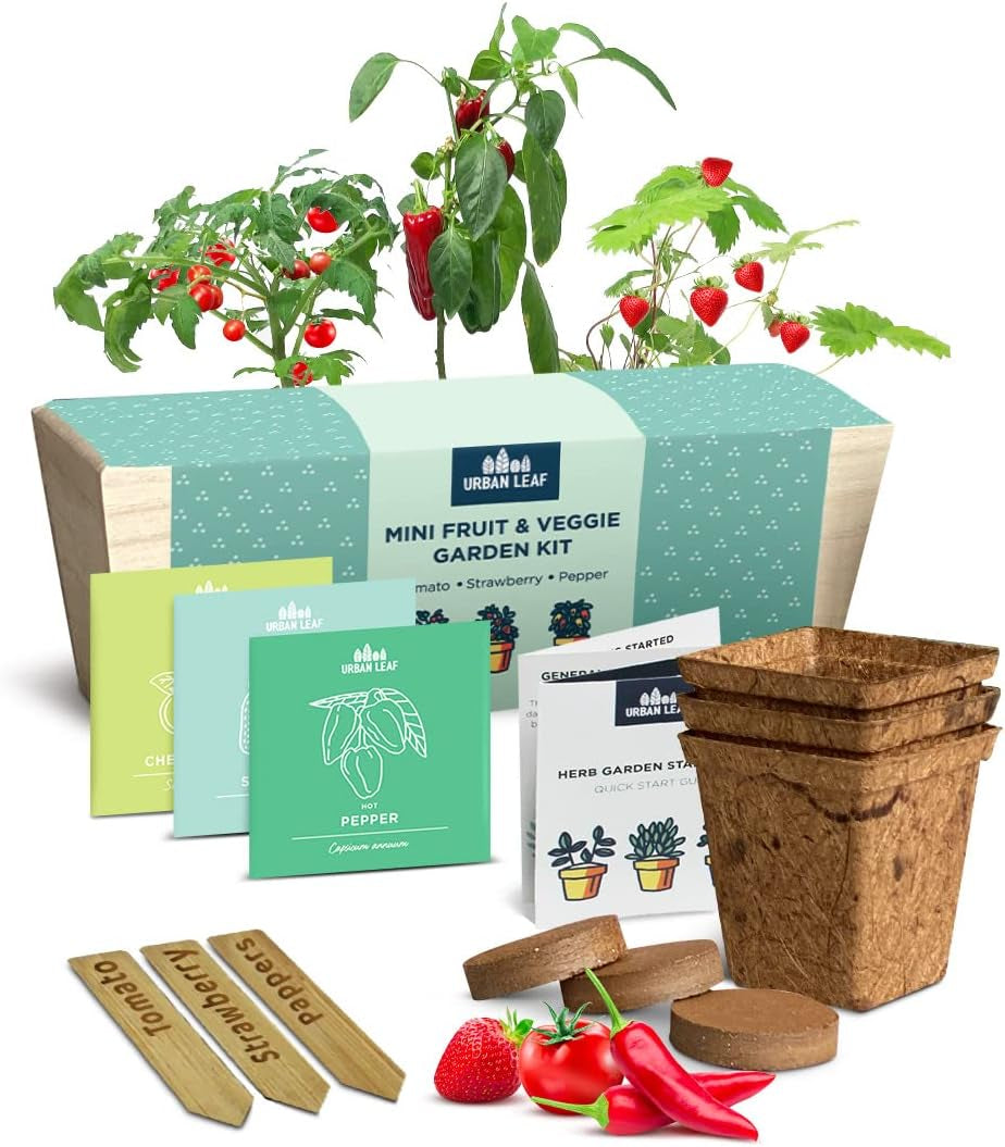 Herb Garden Kit Indoor – Indoor Herb Garden Starter Kit – Dwarf Tomato, Chili Pepper and Eggplant Seeds – Sturdy Reusable Planter, Enriched Soil & Bamboo Labels – Indoor Garden Kit